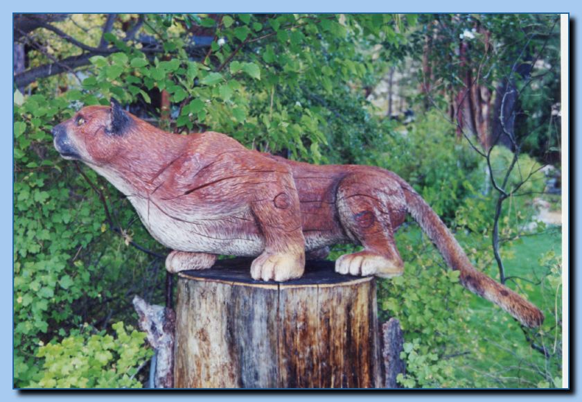 2-09 mountain lion-archive-0001